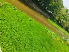 -广东花都湖国家湿地公园