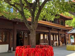 -亭林园-华藏寺