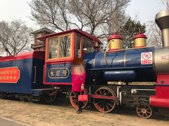 -永定河休闲森林公园