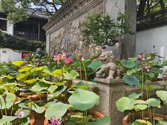 -上海醉白池公园