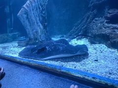 -太平洋海底世界