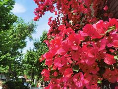 -四川大学(华西校区)