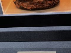 -盘龙城遗址博物院