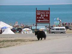 -青海湖国家重点风景名胜区
