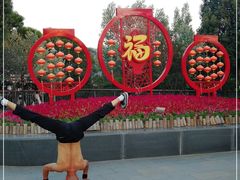 -金鸡山公园