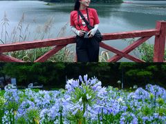 -广州市石门国家森林公园