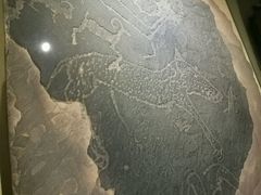 -宁夏博物馆