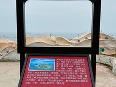 -广东惠东海龟国家级自然保护区