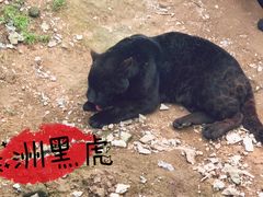 -宁波野生动物园