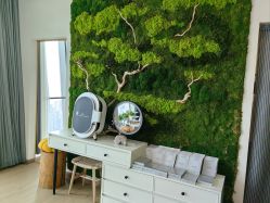 -POCO宝珂丽科技美肤