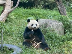 -广州长隆野生动物世界