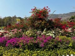 -三亚南山文化旅游区