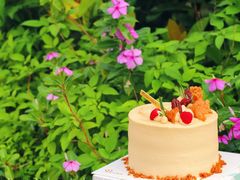 -美心西饼mx cakes(新光城市广场店)