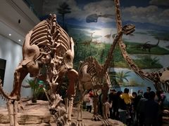 -自贡恐龙博物馆