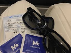 -红星电影世界上海张江绿地店