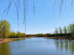 -东郊湿地公园