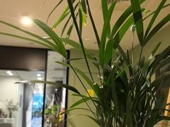 -东方大班·足道·采耳·疗愈SPA(丽都店)