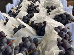 -西郊国际农产品交易中心