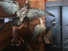 -南京金牛湖风景区