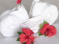 -三亚亚龙湾雅高铂尔曼别墅度假酒店
