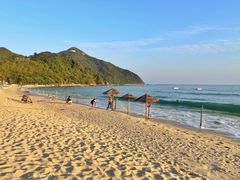 -西涌国际滨海旅游区