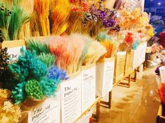 -三圣花乡旅游区