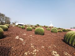 -漳州滨海火山岛自然生态风景区