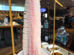 -淘米捞·米汤脆鲩鱼火锅(福田皇岗店)