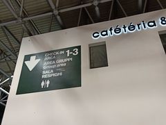 -米兰马尔彭萨国际机场