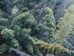 -梅岭神龙潭