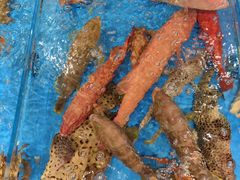 -吴记富苑(朝阳店)