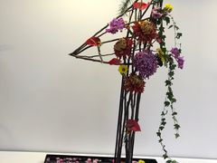 -共青国家森林公园-售票处