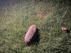 -林栖谷森林康养度假区