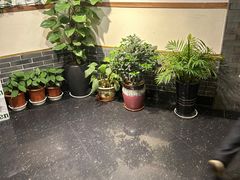 -苏浙徽·农家大院(开发区星湖101店)