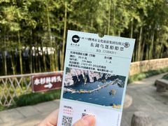 -绍兴东湖风景区