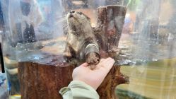 -Zoolung Zoolung动物主题公园(海信广场店)