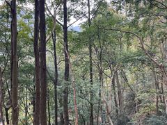 -黔灵山公园