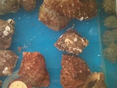 -本地渔村海鲜大咖(商业街店)