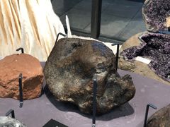 -浙江自然博物院(杭州馆)
