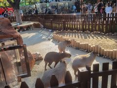 -大连森林动物园