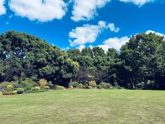 -上海共青森林公园