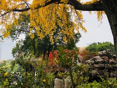 景点-太平天国天王府遗址