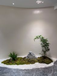 点击看大图 -emika自然美肌