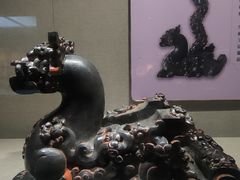 -信阳博物馆