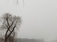 -迎泽公园
