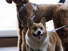 -好利来(团结湖店)