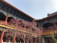 -盛世南宫影视城(北普陀影视城)
