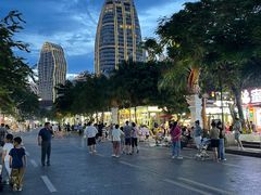 景点-告庄西双景