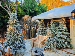 -HERRE·FARM 赫尔露营农场·团建聚会包场