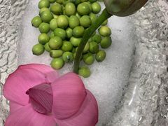 -丽华园(青少年宫店)